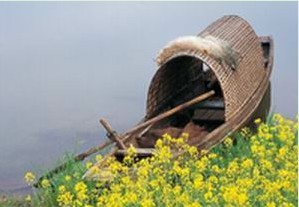 进修医师观摩“多点小切口除皱术”的感言