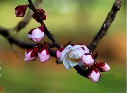 切眉和眼袋手术后心得