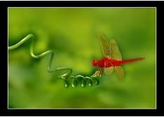 面部年轻化手术