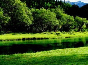 切眉和眼袋手术