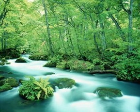 眼皮除皱眼袋后手术