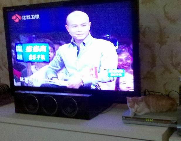 非诚勿扰：全神贯注地听着呢