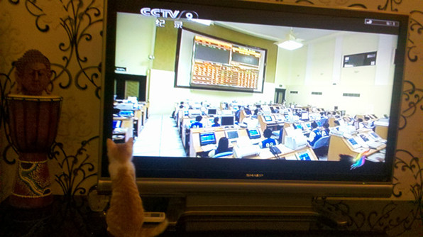 小米也喜欢看股票行情