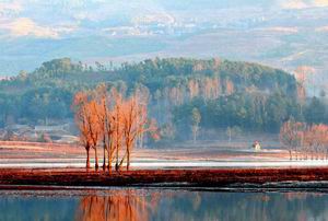 隐藏在青山之间的精灵