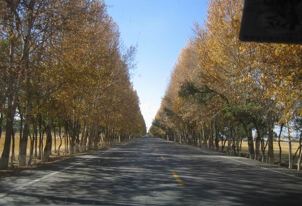 杜太超,黄寺整形医院