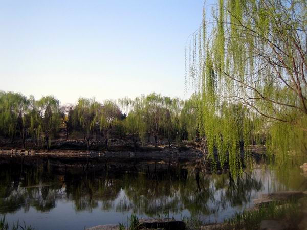 杜太超,黄寺整形医院