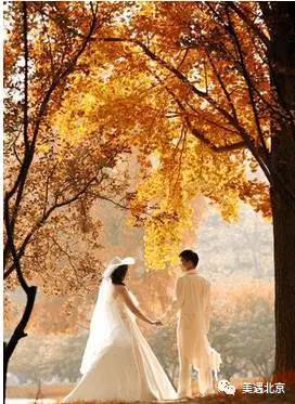 1495337739333110.jpg 微信图片_20170521113349.jpg