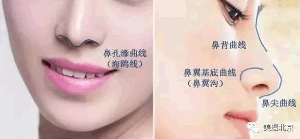 1499069914424719.jpg 微信截图_20170629172217.jpg