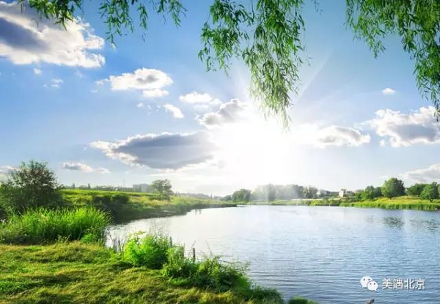 1499233838703083.jpg 微信图片_20170705133041.jpg