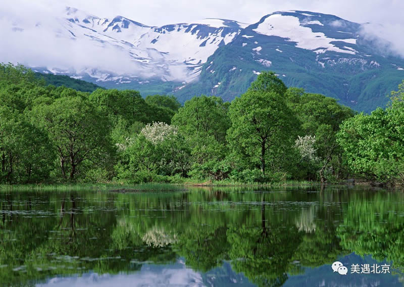 1499233853887104.jpg 微信图片_20170705133051.jpg